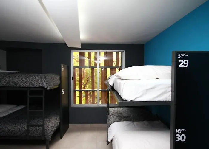 Hostel La Buena Vida *