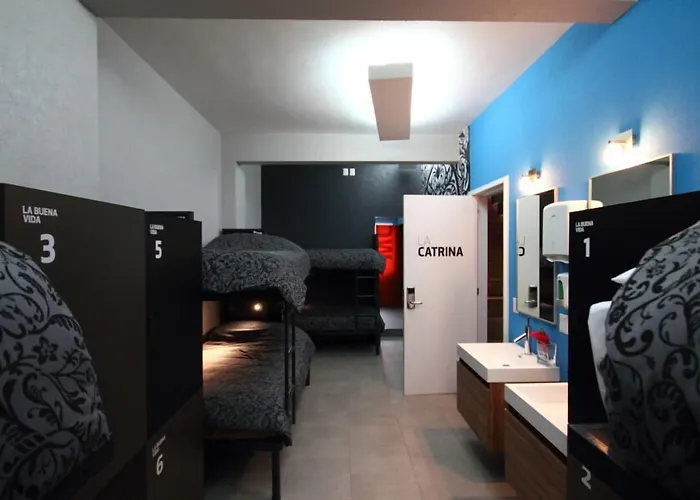 Hostel La Buena Vida